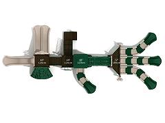 Cactus Corner - Image 5