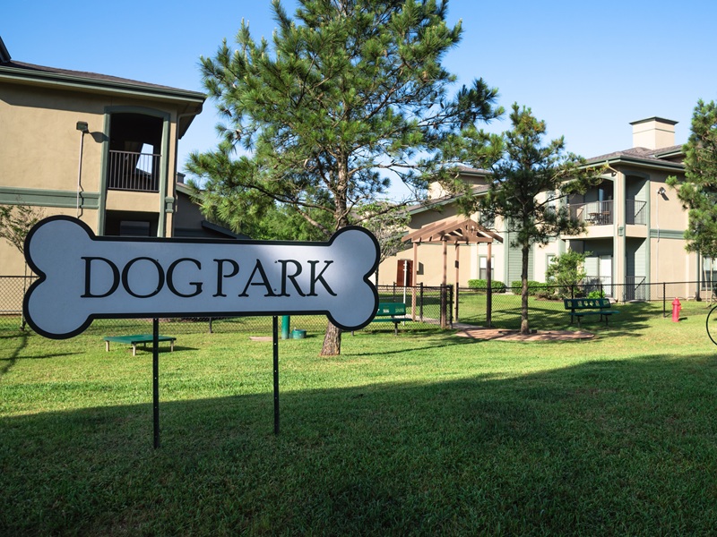 How to design a dog park for both dogs and their owners